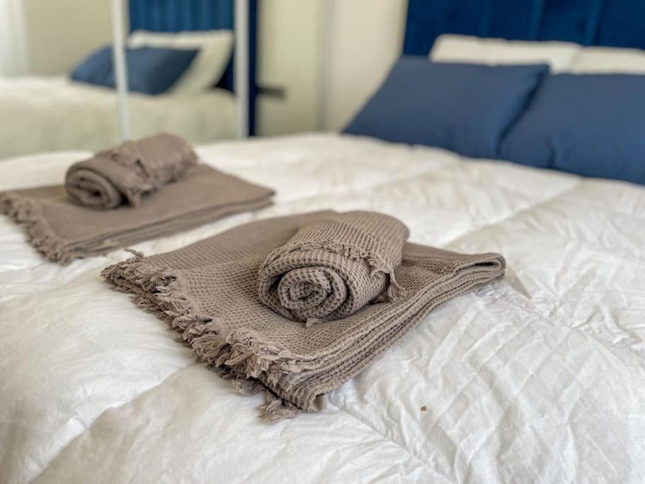 Le Lagon Bleu - Appt Wifi Parking Balcon Le Puy-en-Velay Екстер'єр фото