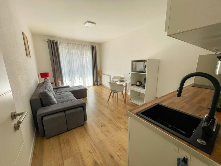 Le Lagon Bleu - Appt Wifi Parking Balcon Le Puy-en-Velay Екстер'єр фото